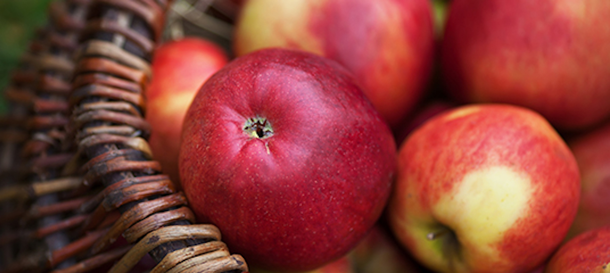 Apples in a Bushel: Understanding Produce Measurements