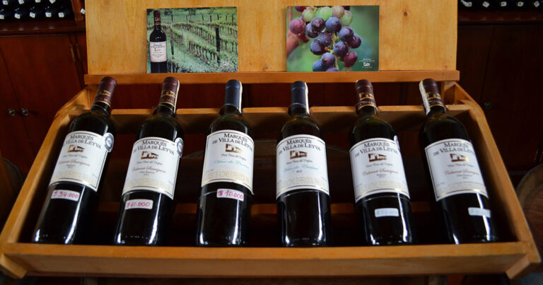 Cabernet Sauvignon vs Merlot: Contrasting Red Wine Varietals