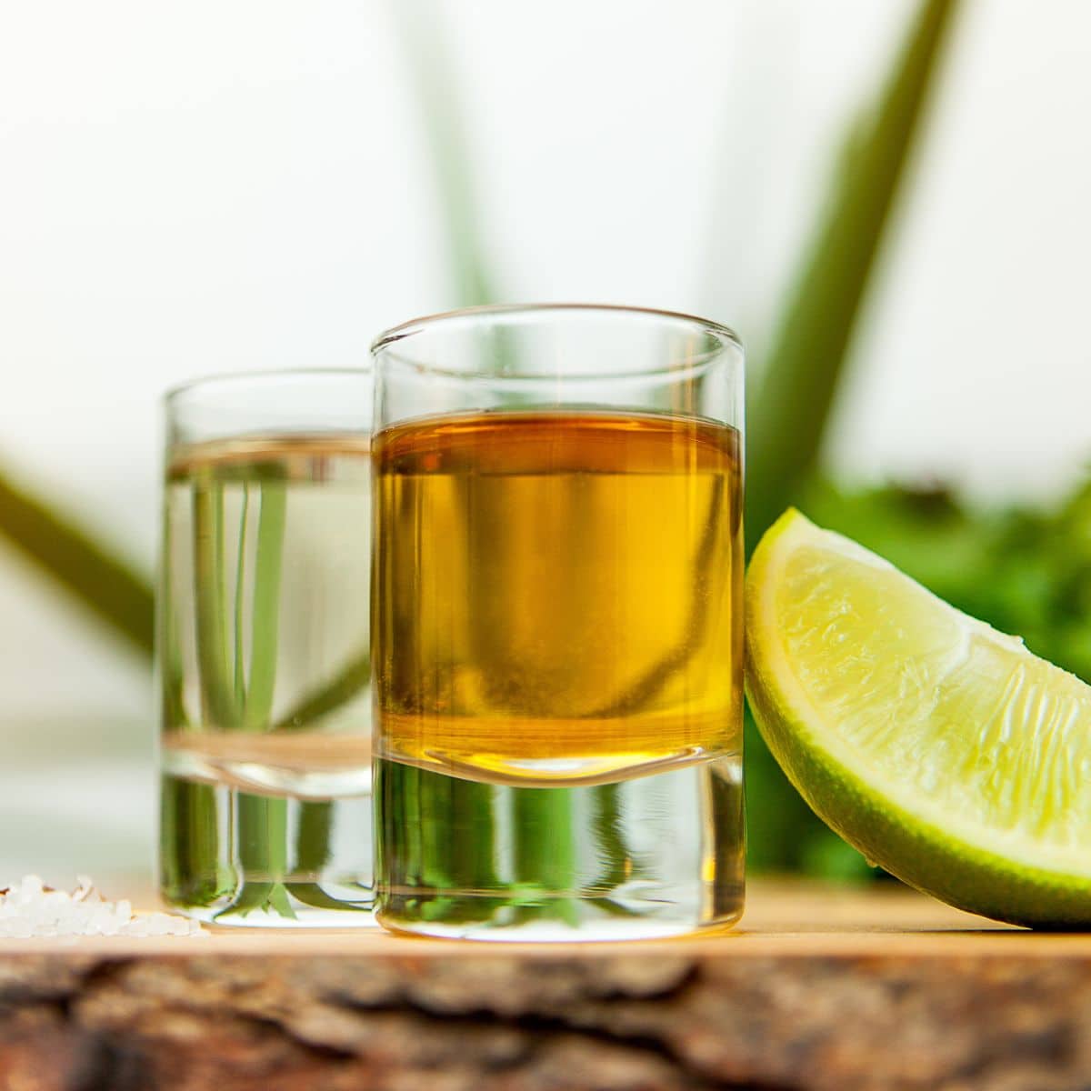 Best Chaser for Tequila: Complementing Tequila's Flavor